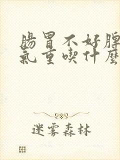 肠胃不好脾虚湿气重吃什么 有用好