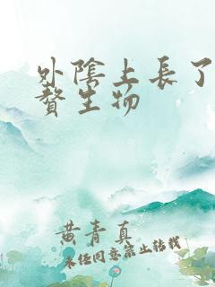 外阴上长了一个赘生物