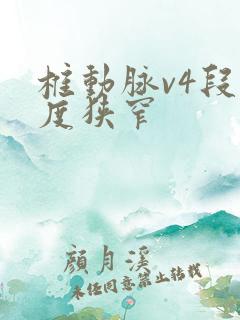 椎动脉v4段重度狭窄