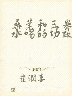 桑叶和玉米须泡水喝的功效