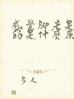 感觉脚老是凉凉的是什么原因