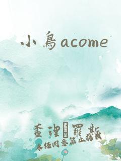 小鸟acome