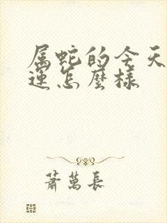 属蛇的今天的财运怎么样