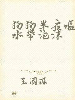 狗狗半夜呕吐黄水带泡沫