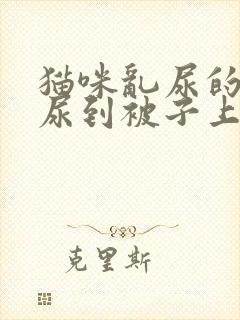 猫咪乱尿的原因尿到被子上怎么办