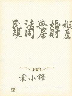 民法典婚姻法新规同居财产分割