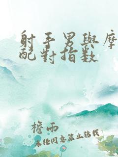 射手男与摩羯女配对指数