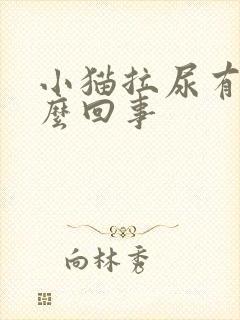 小猫拉尿有血怎么回事