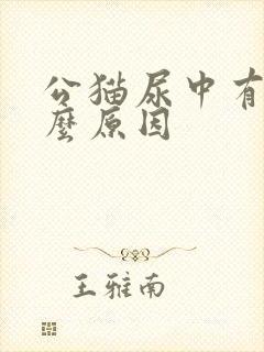 公猫尿中有血什么原因