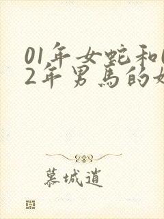 01年女蛇和02年男马的姻缘