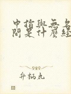 中指与无名指之间是什么经络