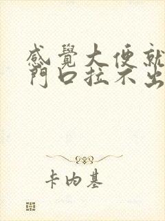 感觉大便就在肛门口拉不出来怎么办