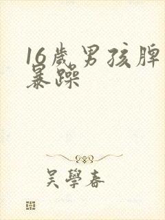 16岁男孩脾气暴躁