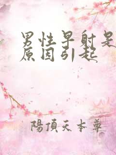 男性早射是什么原因引起