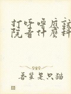 打呼噜应该去医院看什么科