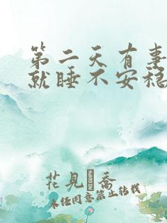 第二天有事晚上就睡不安稳