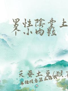 男性阴囊上起了个小肉粒