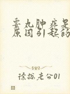 睾丸肿疼是什么原因引起的