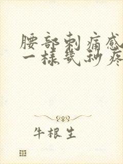 腰部刺痛感针扎一样几秒疼一下