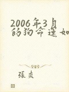 2006年3月的狗命运如何