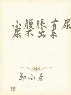 小腹胀有尿意却尿不出来