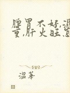 脾胃不好,湿气重,肝火旺怎么调理