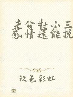 老公对小三动真感情还能挽回吗