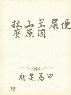 拉山羊屎便是什么原因