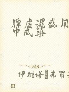 脾虚湿盛用什么中成药