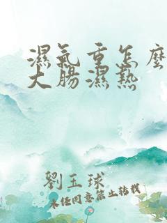 湿气重怎么祛除大肠湿热