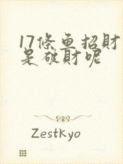 17条鱼招财还是破财呢