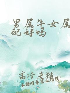 男属牛女属龙婚配好吗