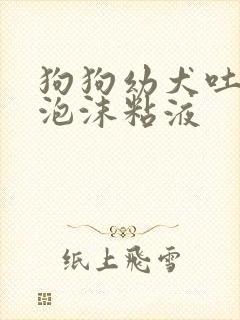 狗狗幼犬吐白色泡沫粘液