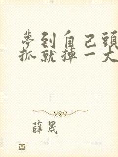 梦到自己头发一抓就掉一大把