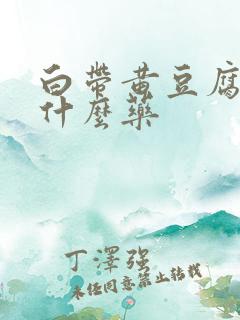 白带黄豆腐渣用什么药