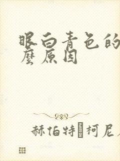 眼白青色的是什么原因