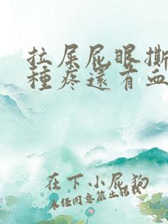 拉屎屁眼撕裂那种疼还有血