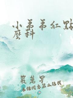 小弟弟红点挂什么科