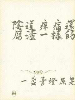 阴道痒痛还有豆腐渣一样的东西