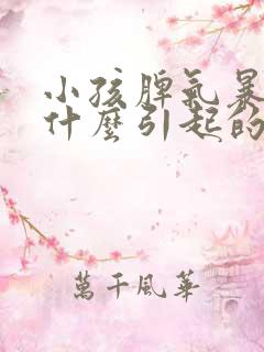 小孩脾气暴躁是什么引起的