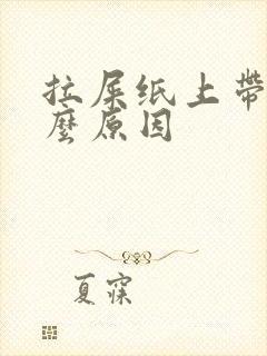 拉屎纸上带血什么原因