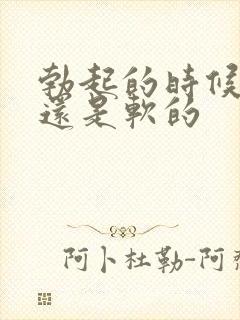 勃起的时候睾丸还是软的