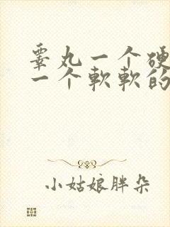 睾丸一个硬硬的一个软软的