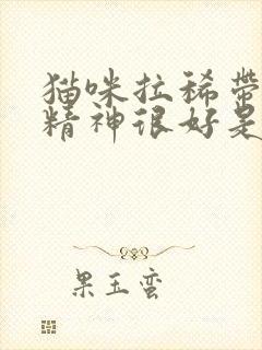 猫咪拉稀带血但精神很好是怎么回事怎么办