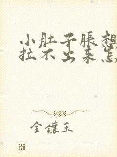 小肚子胀想拉屎拉不出来怎么回事