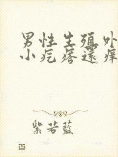 男性生殖外皮有小疙瘩还痒