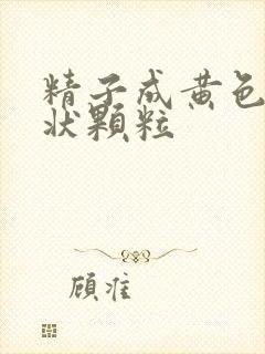 精子成黄色果冻状颗粒