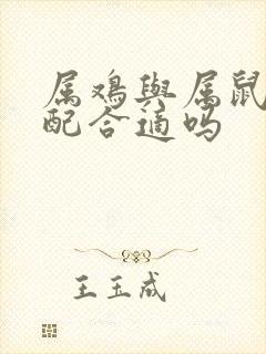 属鸡与属鼠的婚配合适吗