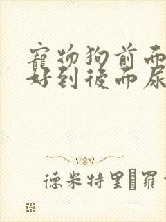 宠物狗前面尿是好到后面尿带血