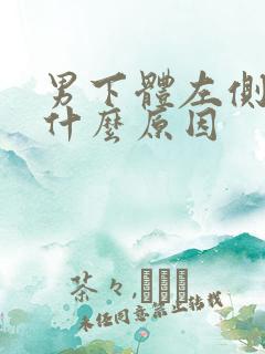 男下体左侧疼是什么原因